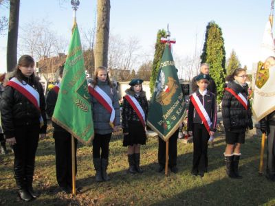 Kliknij aby zobaczyć pełny rozmiar