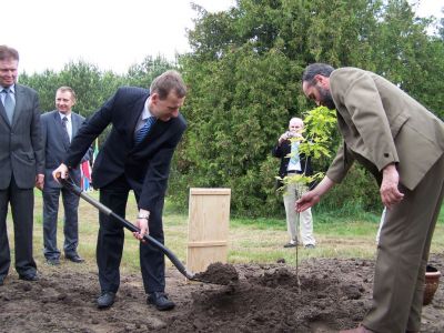 Kliknij aby zobaczyć pełny rozmiar