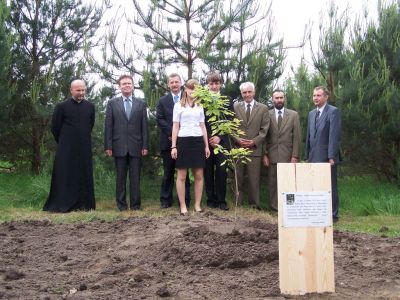 Kliknij aby zobaczyć pełny rozmiar