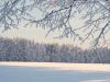 zima_2009_003.jpg