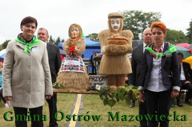 Kliknij aby zobaczyć pełny rozmiar