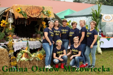 Kliknij aby zobaczyć pełny rozmiar