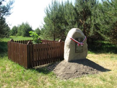 Kliknij aby zobaczyć pełny rozmiar