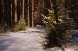 20160119008.jpg
